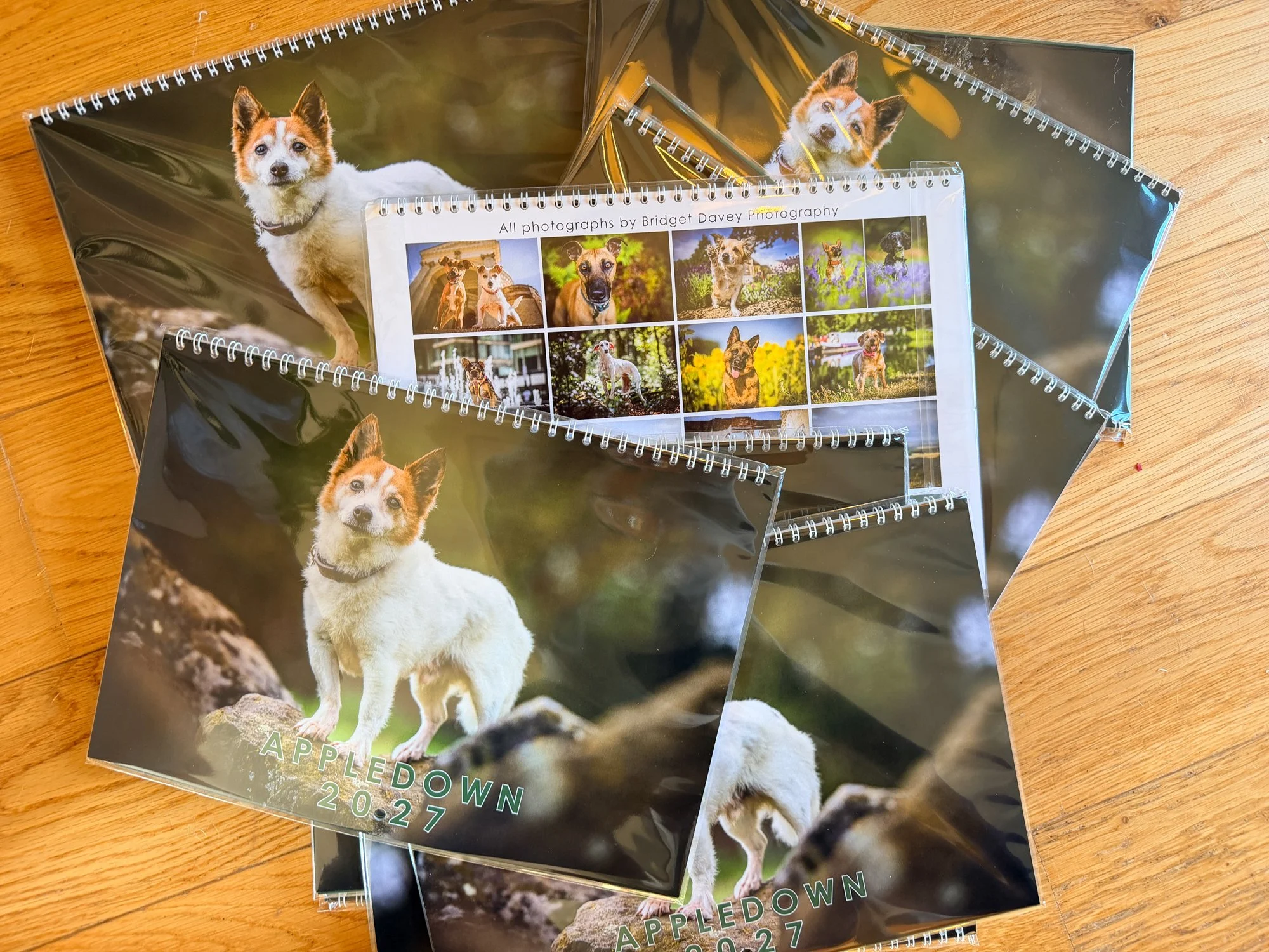 🐾 Appledown 2027 Calendar                                    13 Happy Dogs, 13 Special Stories