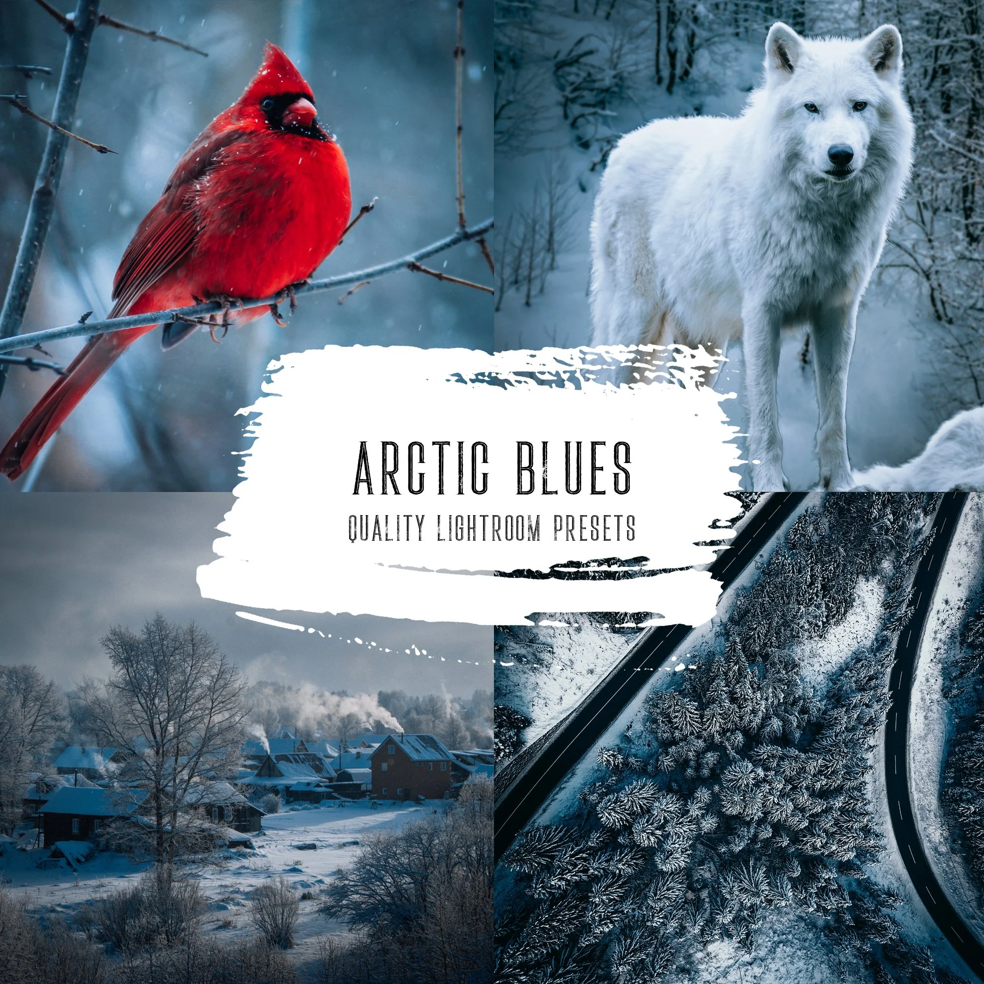 Arctic Blues Cover 2.jpg
