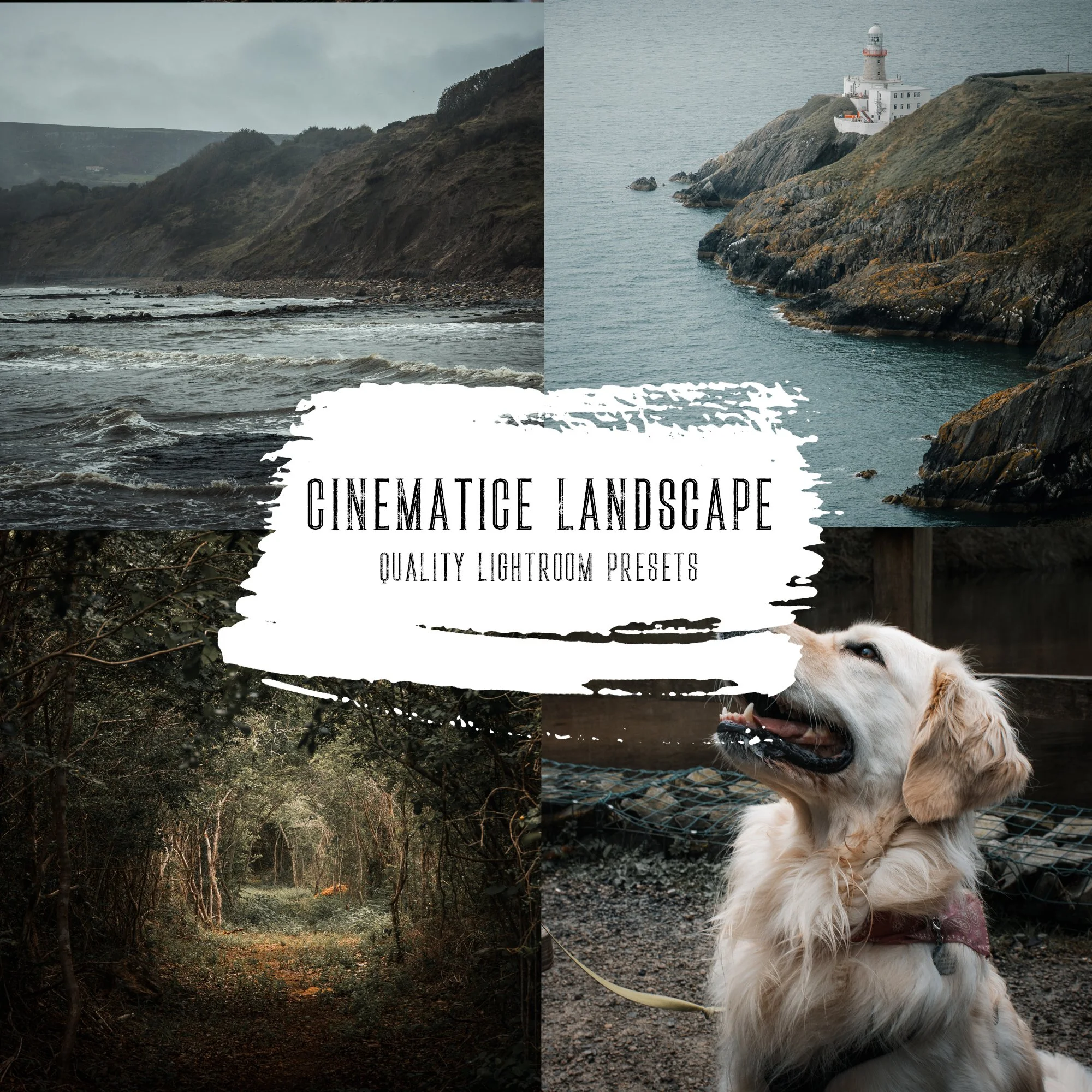 Cinematic landscapes cover.jpg