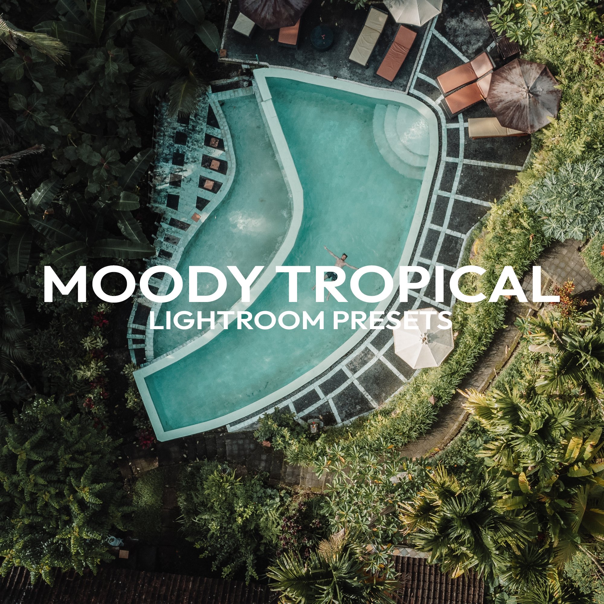 moody tropical lr.jpg