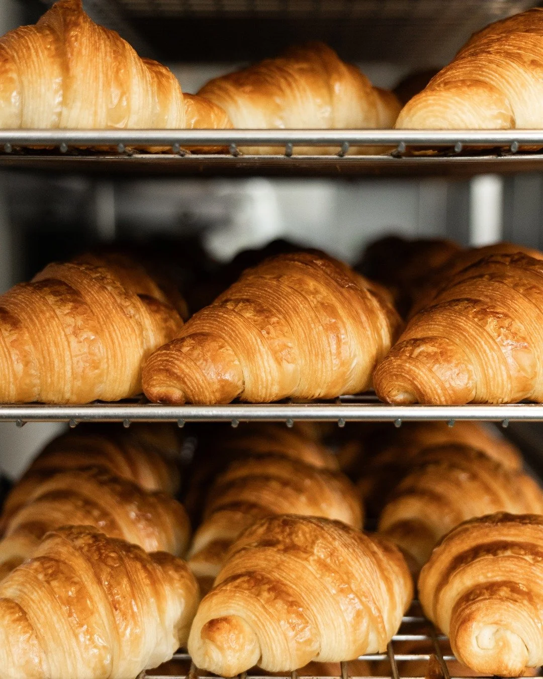 That first bite of a fresh, buttery croissant, nothing else compares 🥐

Baked this morning. Best enjoyed now. See you soon! 

#franquettebakery #frenchbakery #mounttamborine #bakery #goldcoasthinterland #goldcoasteats #tamborinemountain