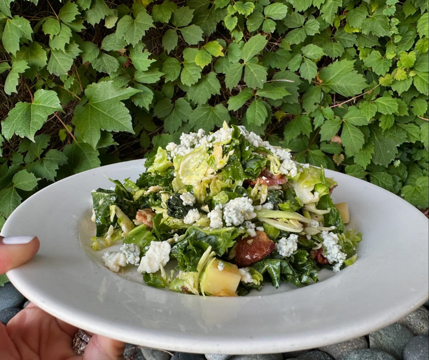 Fresh crisp salad on this fall day in Michigan. @beverlyhillsgrill has delicious salads for brunch and dinner. Join us this weekend. 
BeverlyHillsGrill.com
248&bull;642&bull;2355

#salad #brunch #dinner #fall #delicious #foodlover