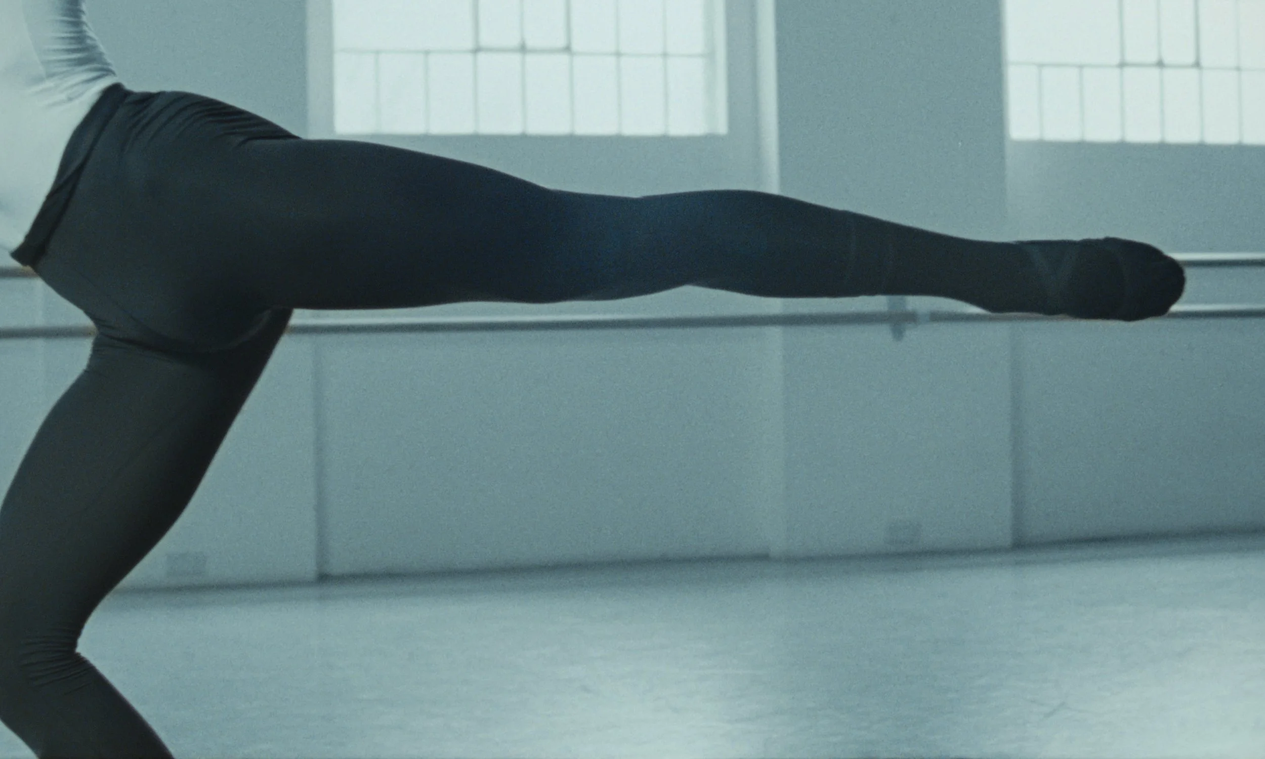 Still 2026-02-19_1.14.1.jpg