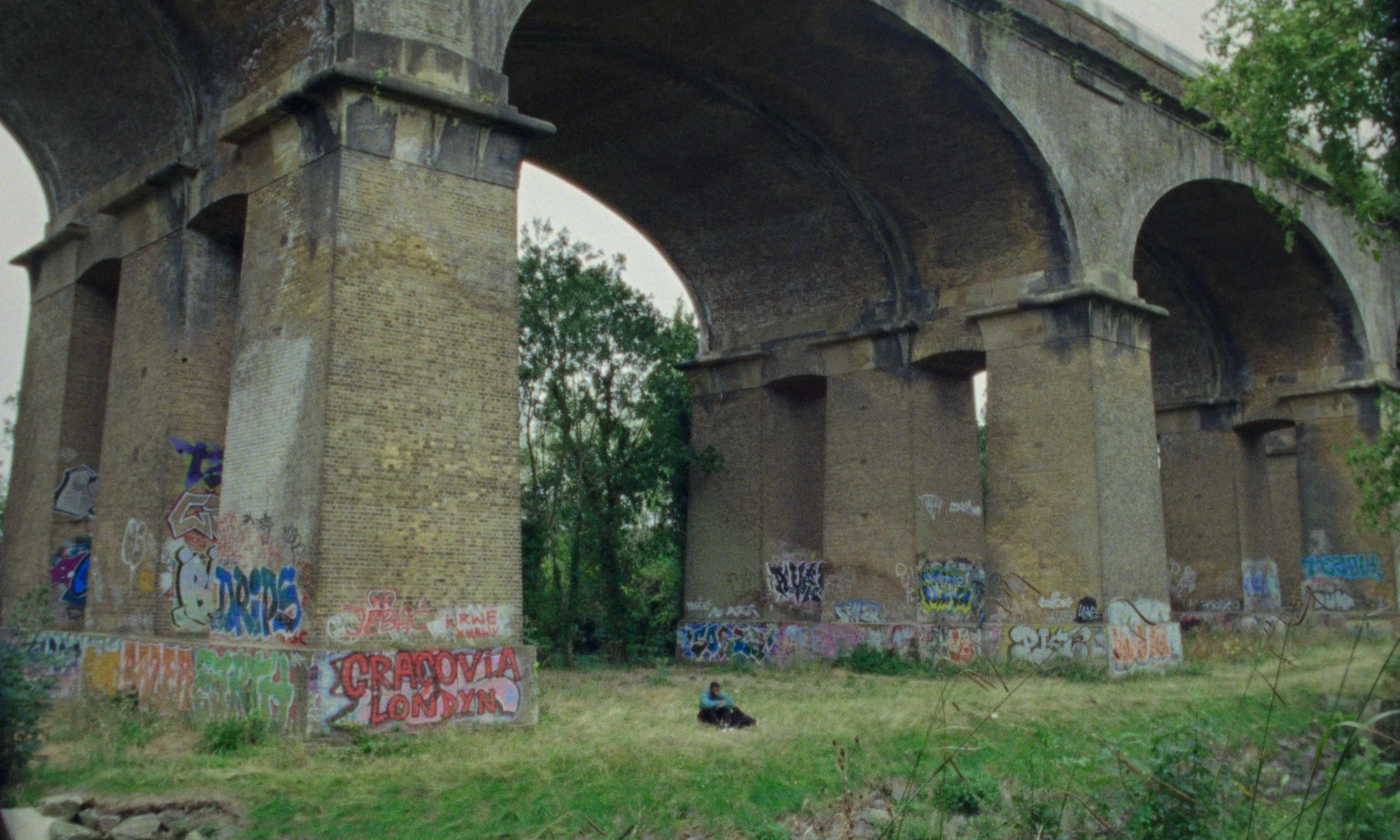 Still 2026-02-19_1.24.1.jpg