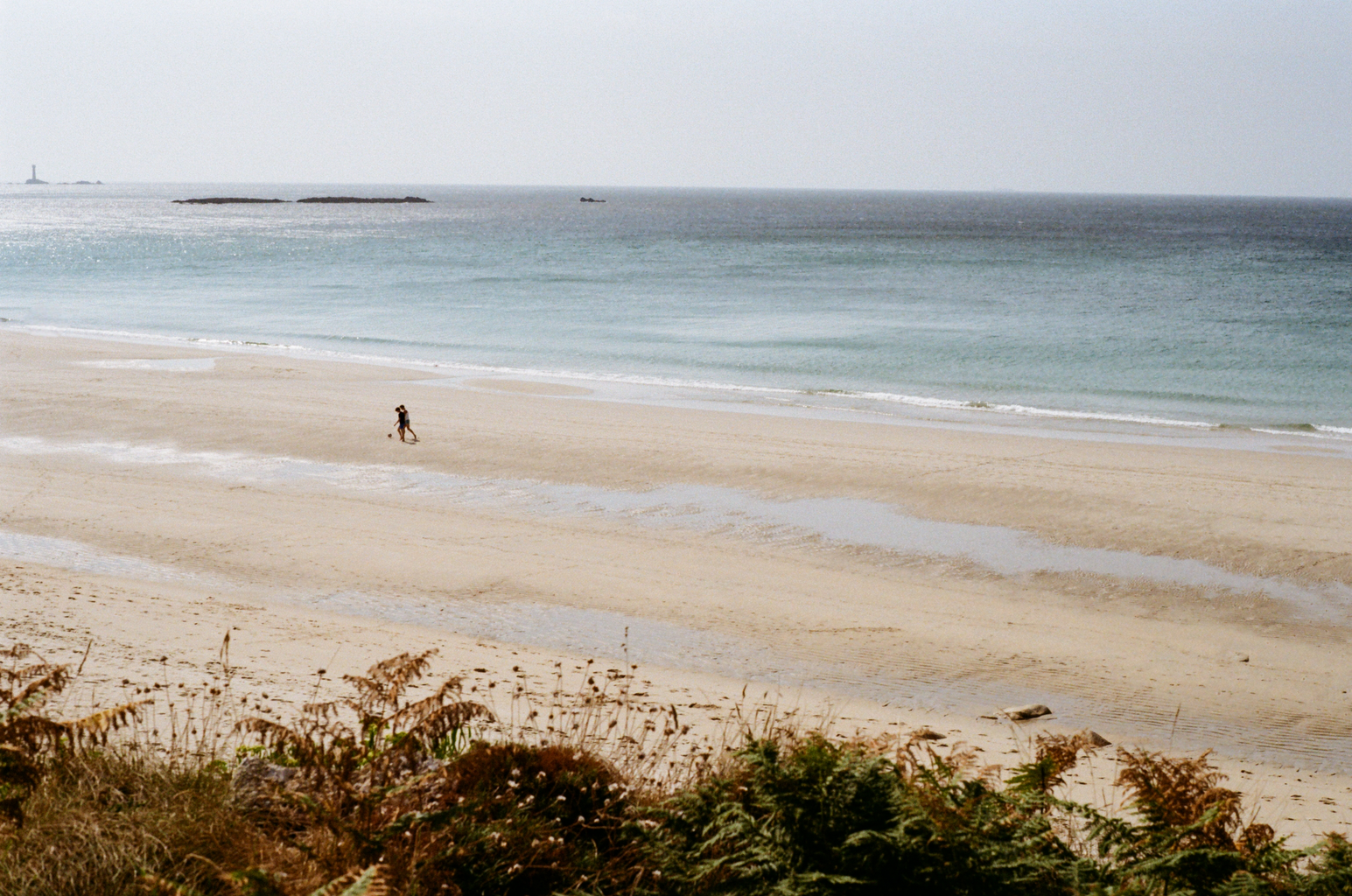 Still 2026-02-09 225037_1.34.1.png