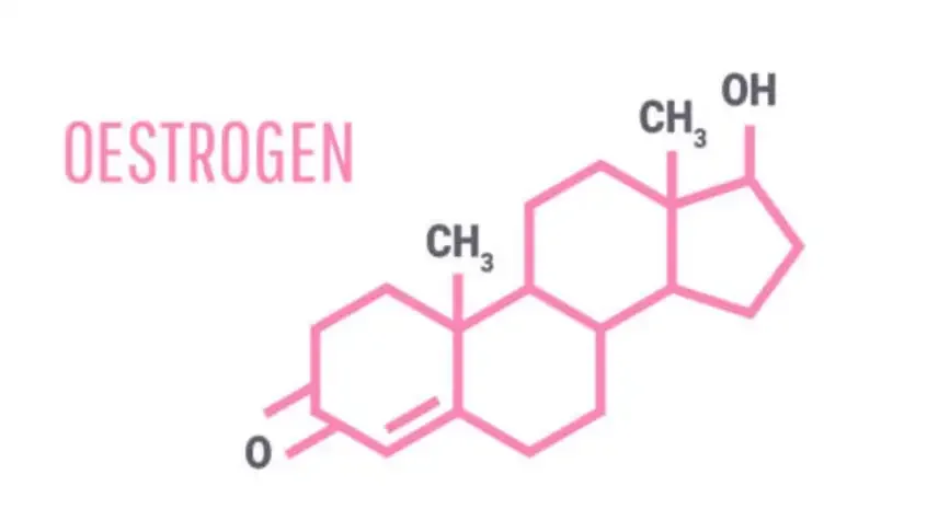 Oestrogen- Not just a reproductive hormone