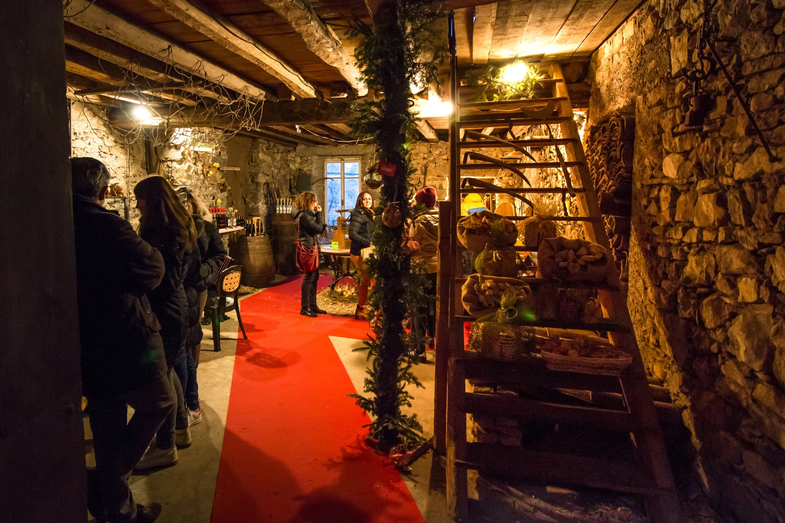 cimego041216--27.jpg