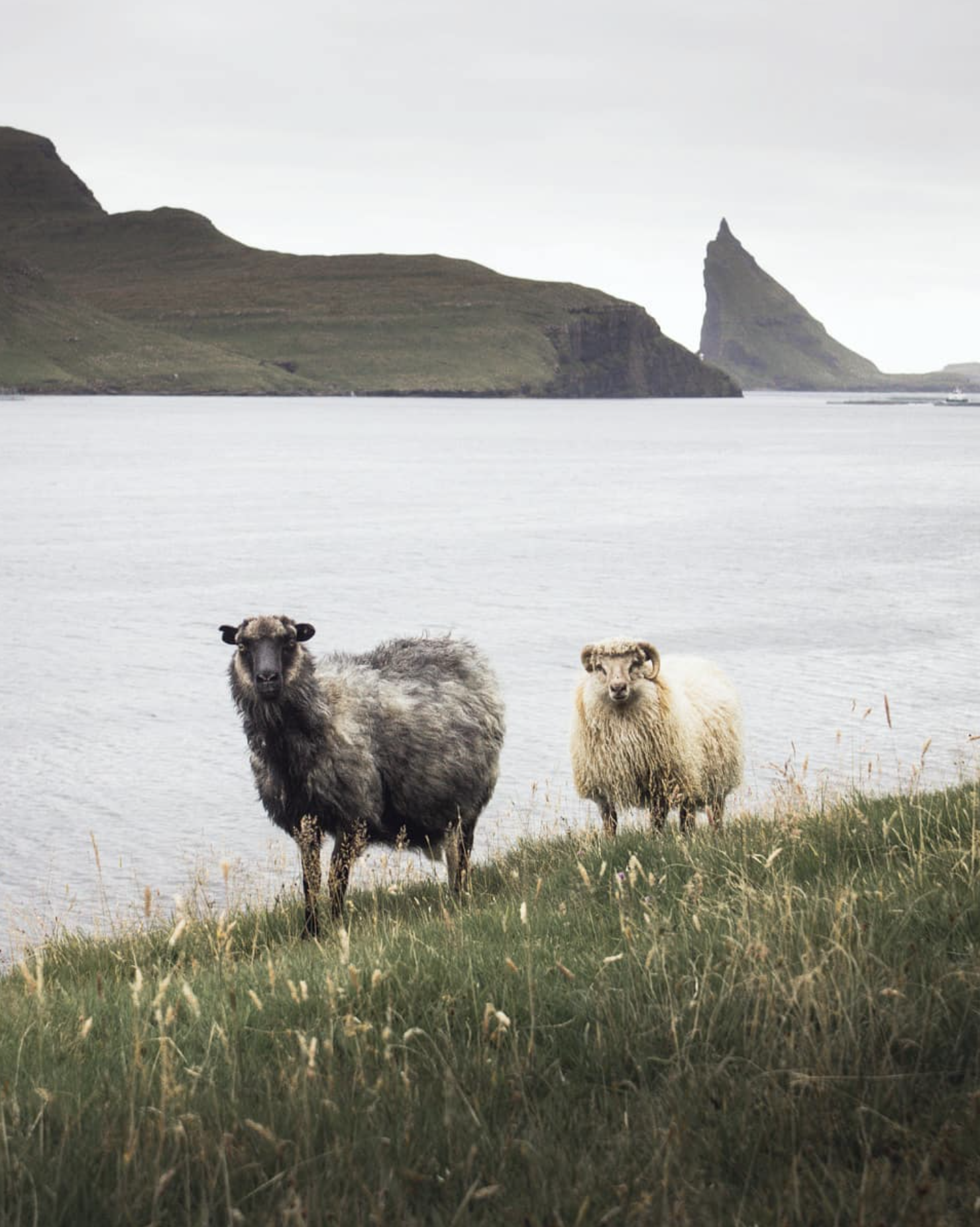 Screenshot 2021-03-19 at 00.13.15.png