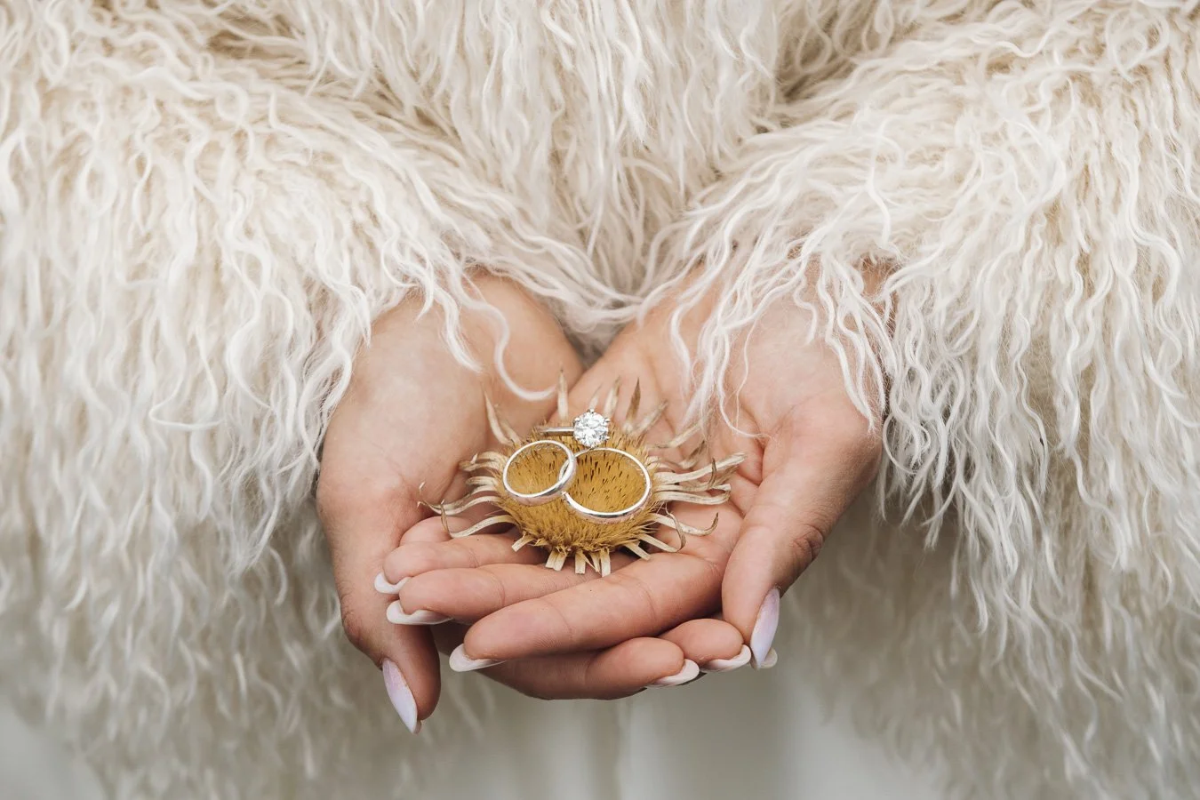 Person holding a sunflower seed pod with two wedding rings and a diamond ring on top.