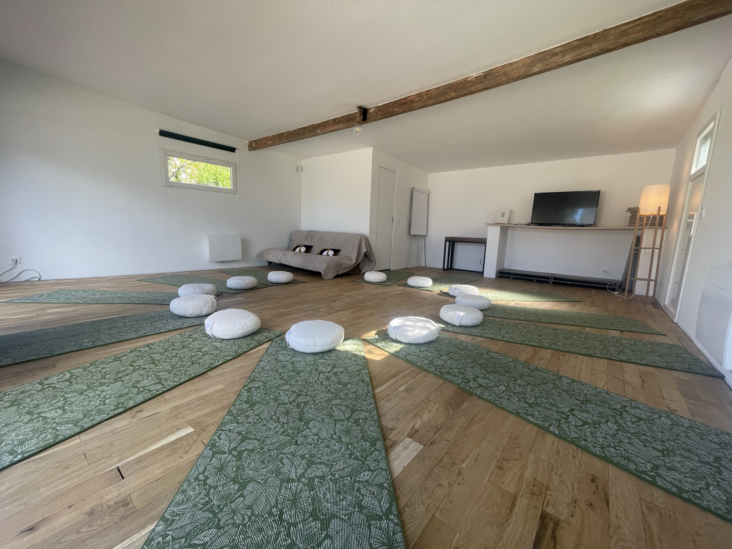 Une pièce vide avec un sol en bois, des tapis verts, un canapé beige avec des coussins, une télévision sur un meuble, une lampe sur un meuble bas, et quelques fenêtres laissant entrer la lumière naturelle.