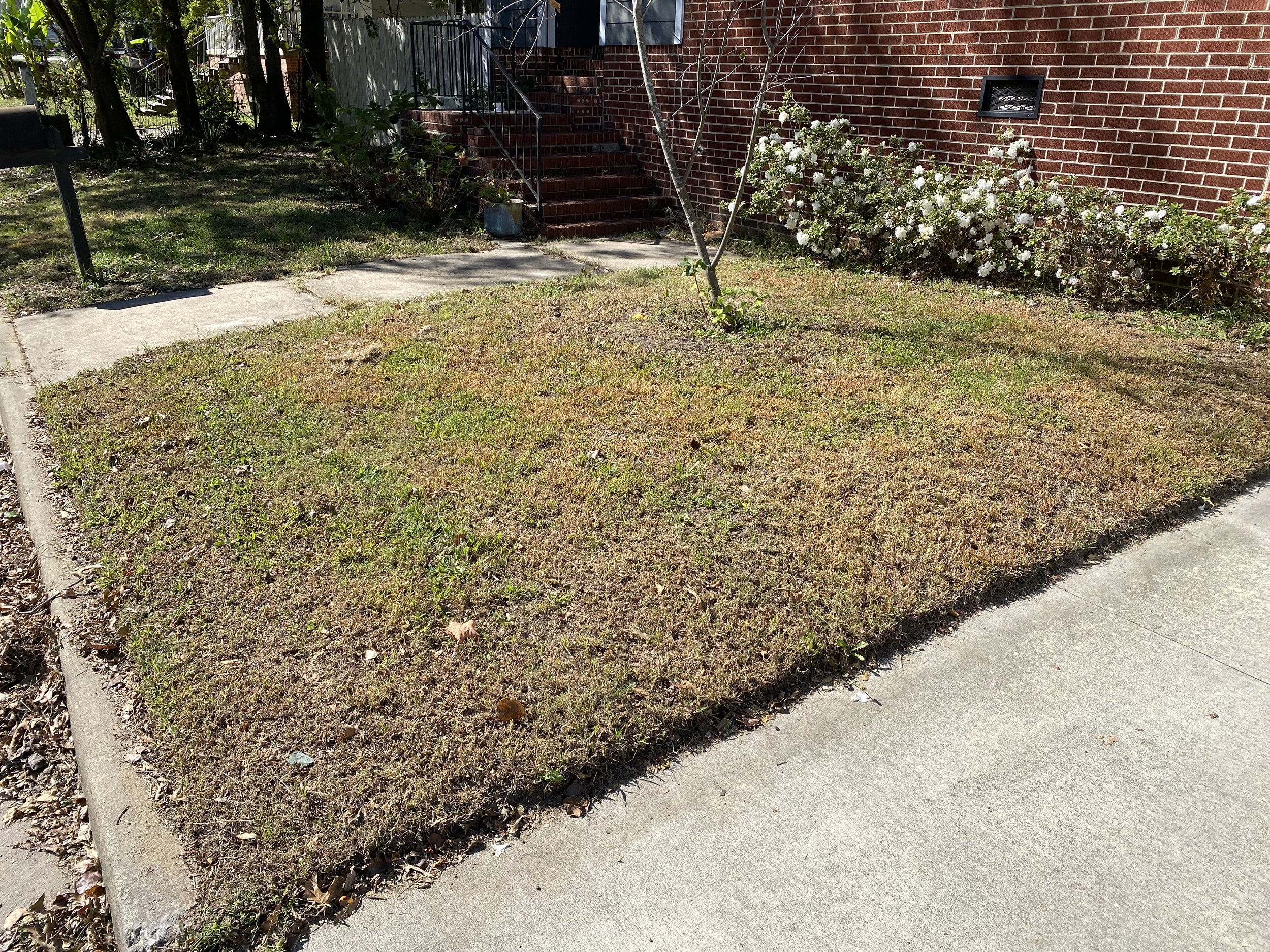 BEFORE