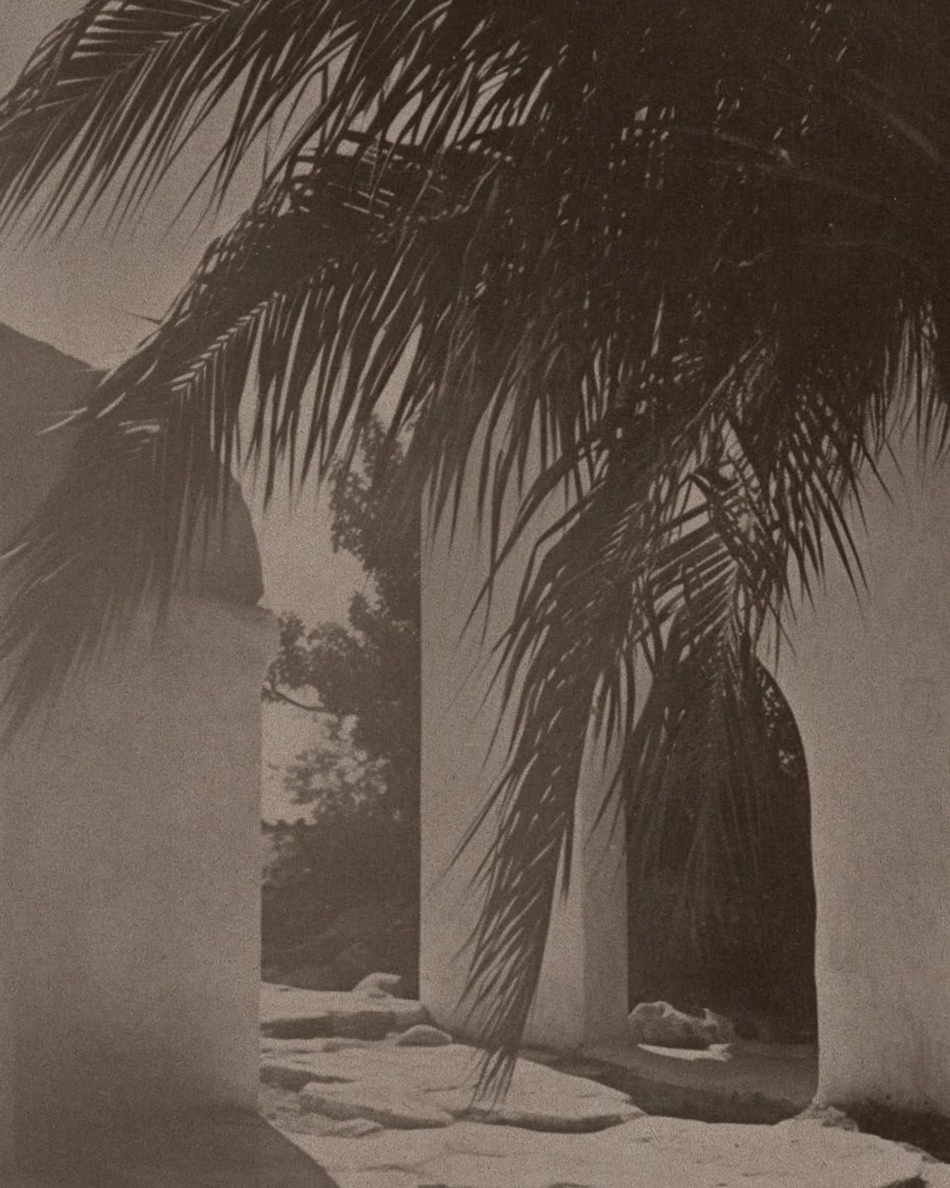 Inspiration solaire 🌞

#azuristudiosolaire 
#inspiration 
#mood 
#universvisuel 
#photographie 
#studiographique 
#identit&eacute;demarque 
#graphistefreelance