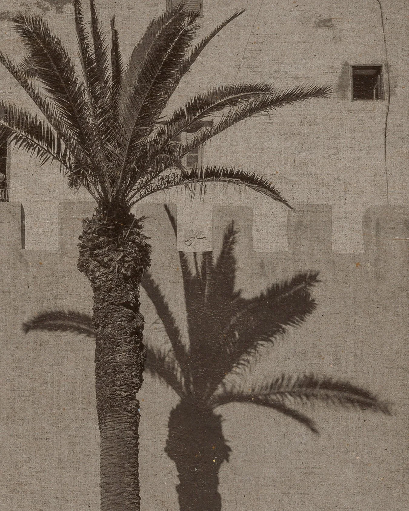 Azuri est un cocon sauvage,
la chaleur de ses paysages enveloppe 
d&rsquo;abord, rassure ensuite,
puis encourage. 

🌞

#azuristudiosolaire 
#manifeste 
#studiographique 
#graphistefreelance 
#branding