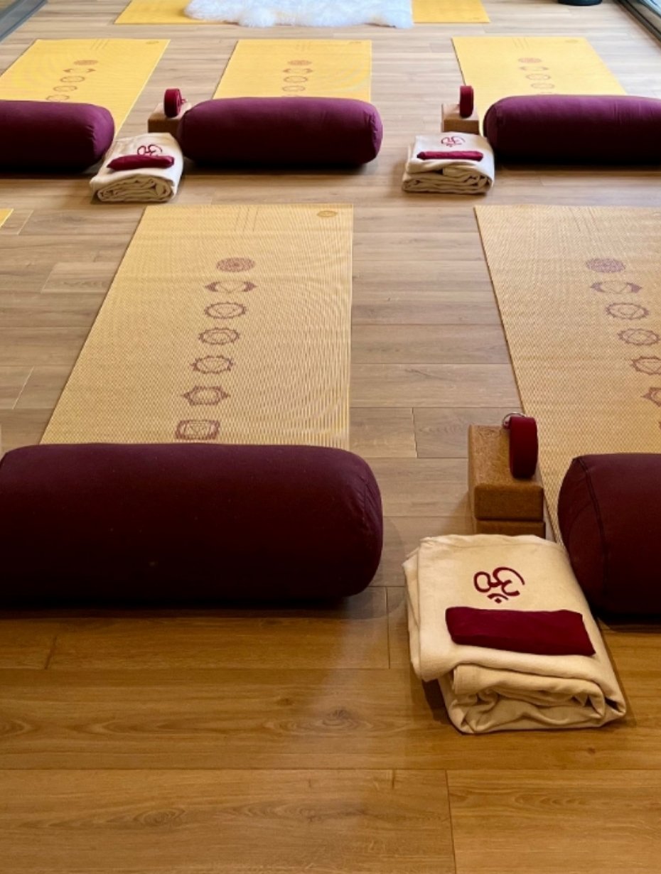 Cours de yoga - Surya Ragazza.jpg
