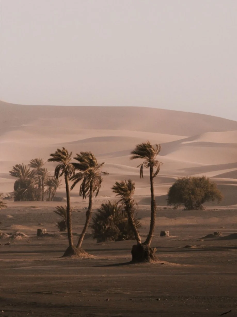 Inspirations - Siyara.jpg