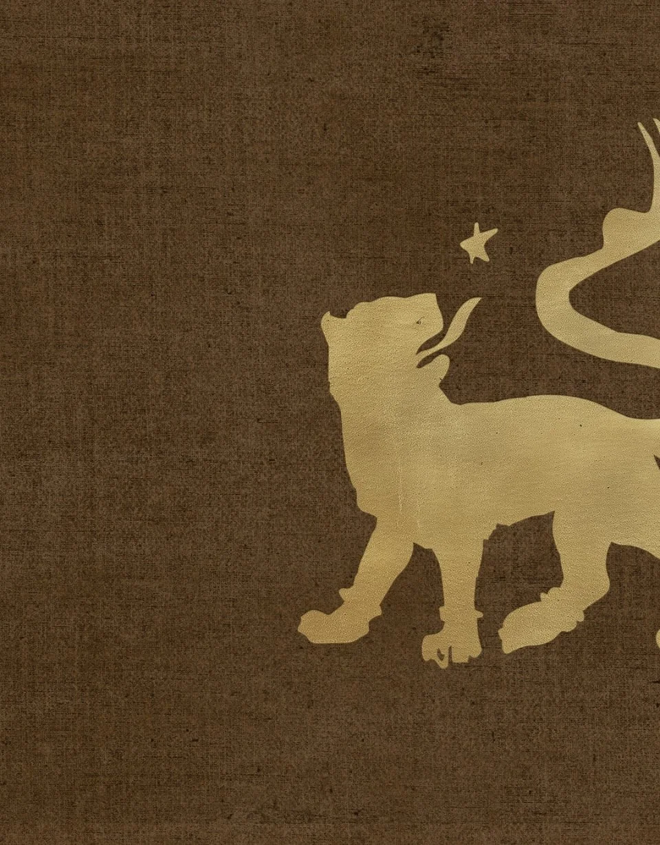 Illustration - Lion.jpg
