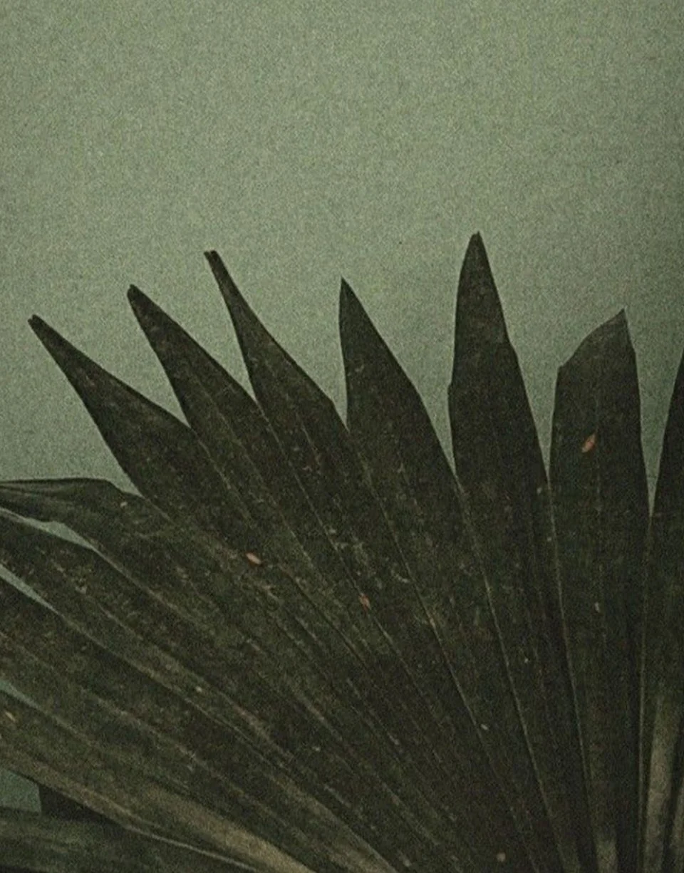 Inspiration - 5.jpg
