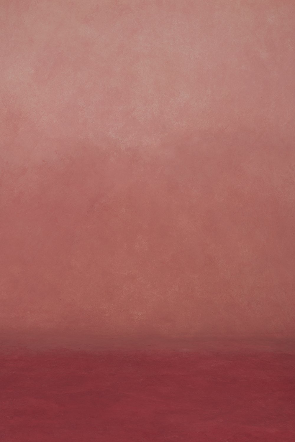 Pink gradient backdrop for hire
