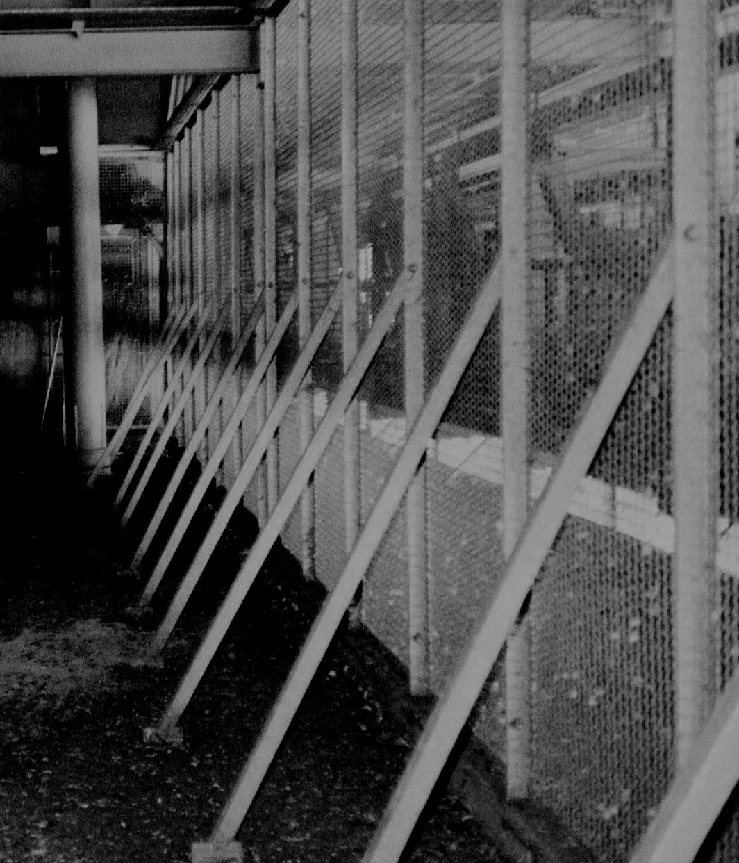 A close-up shot of a metal fence with diagonal support beams and mesh panels. Daniel Alexander Weiter - DAW