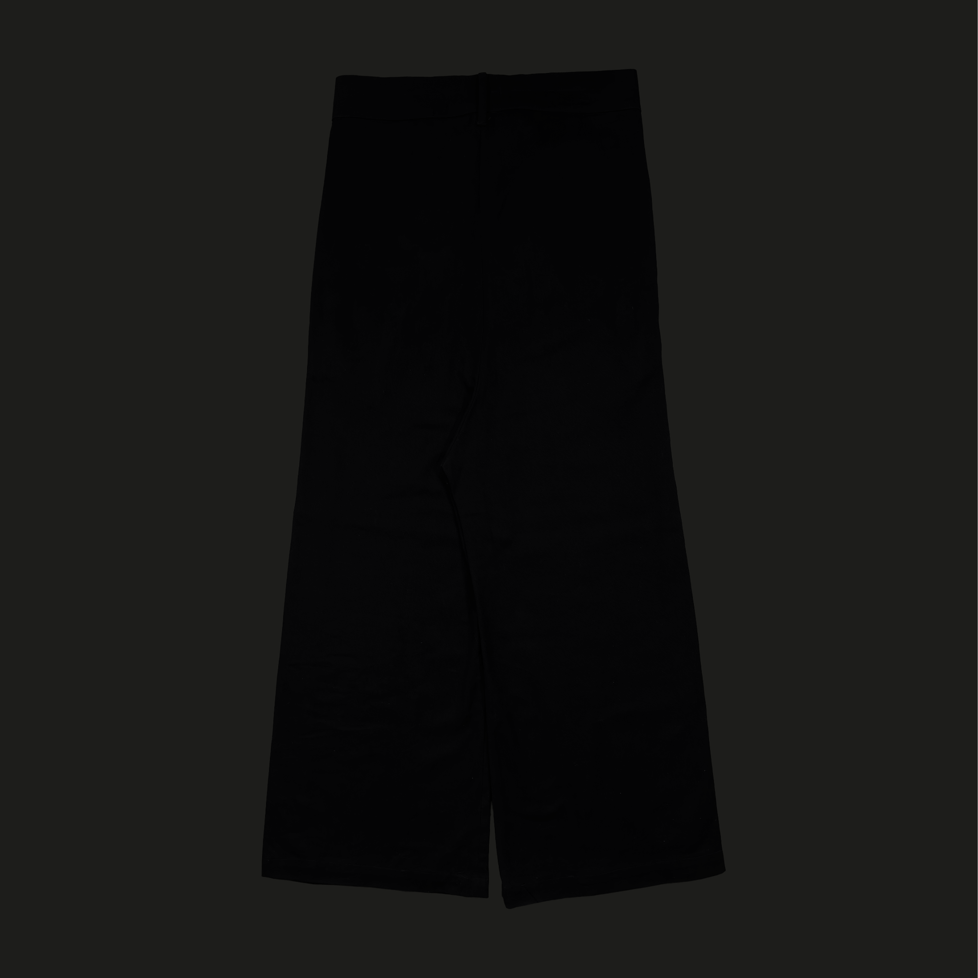 Double Pocket Suit Pants back.png