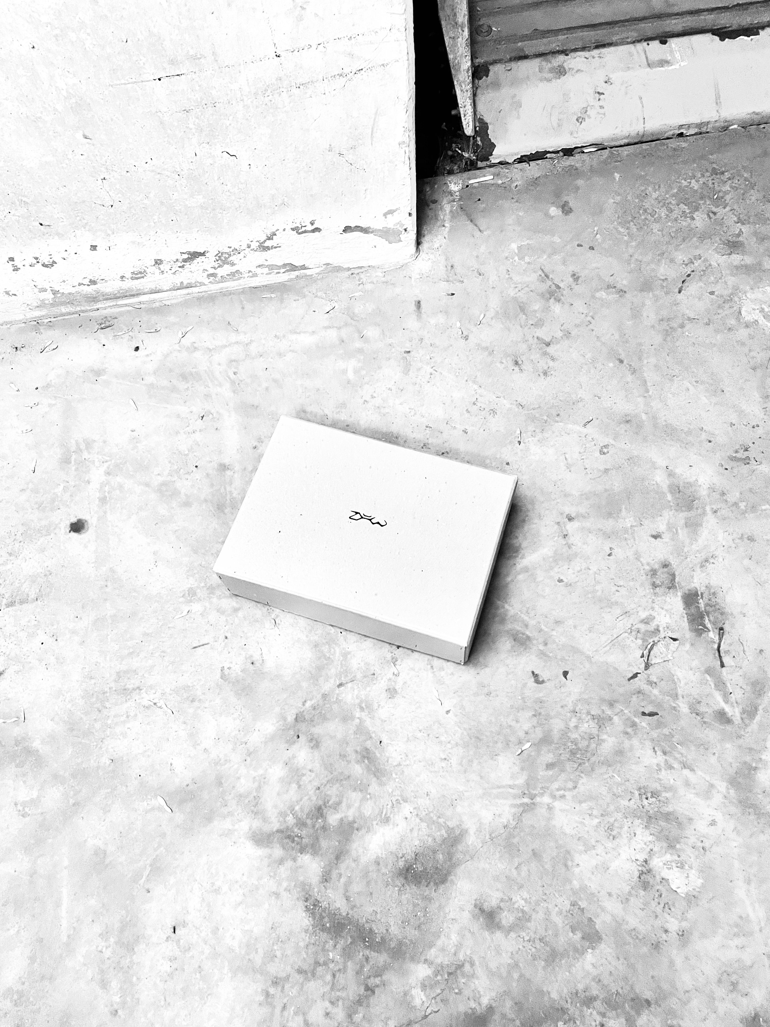 Black and white photo of a large cardboard box with a logo lying on the ground. Daniel Alexander Weiter - DAW