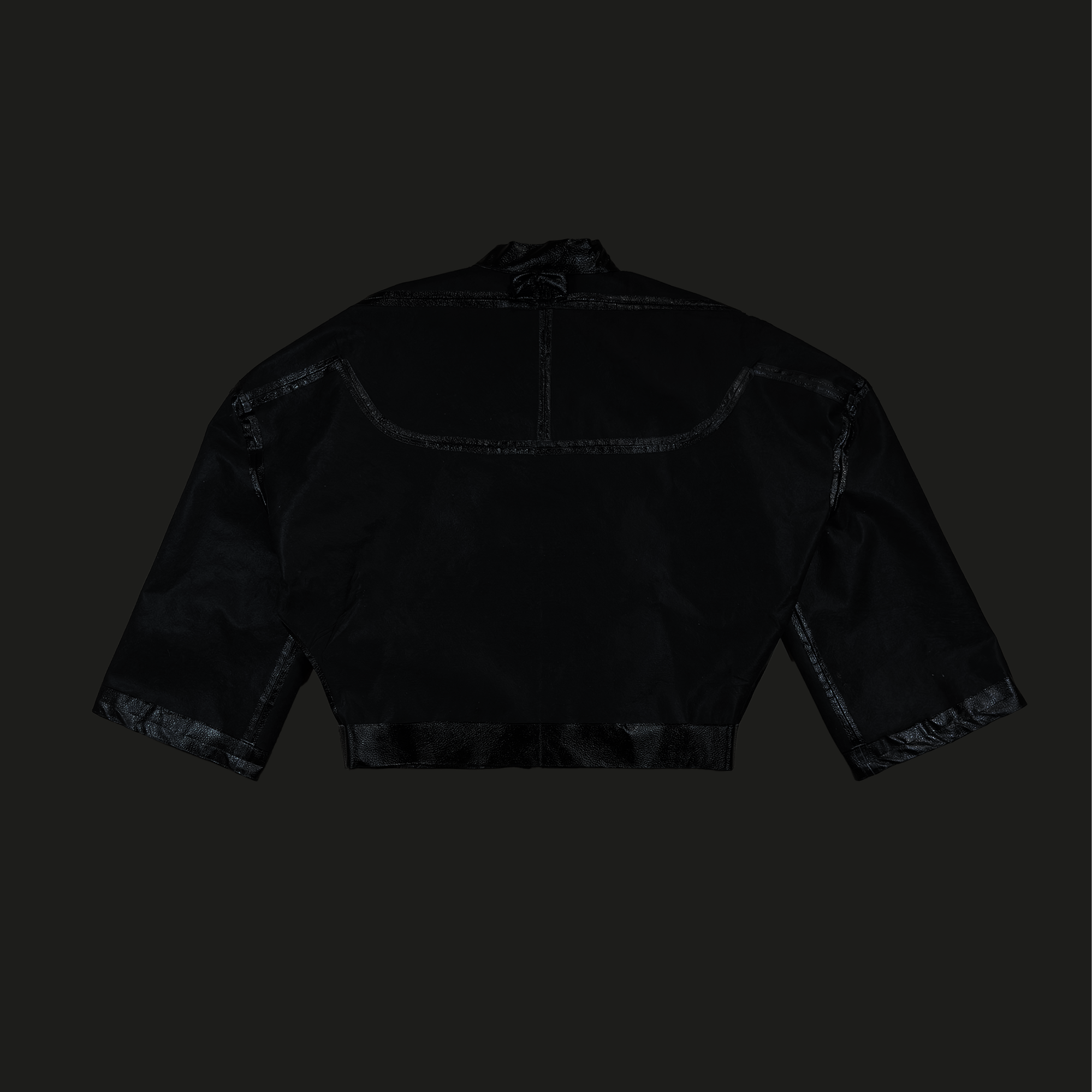 Vision Bomber back.png