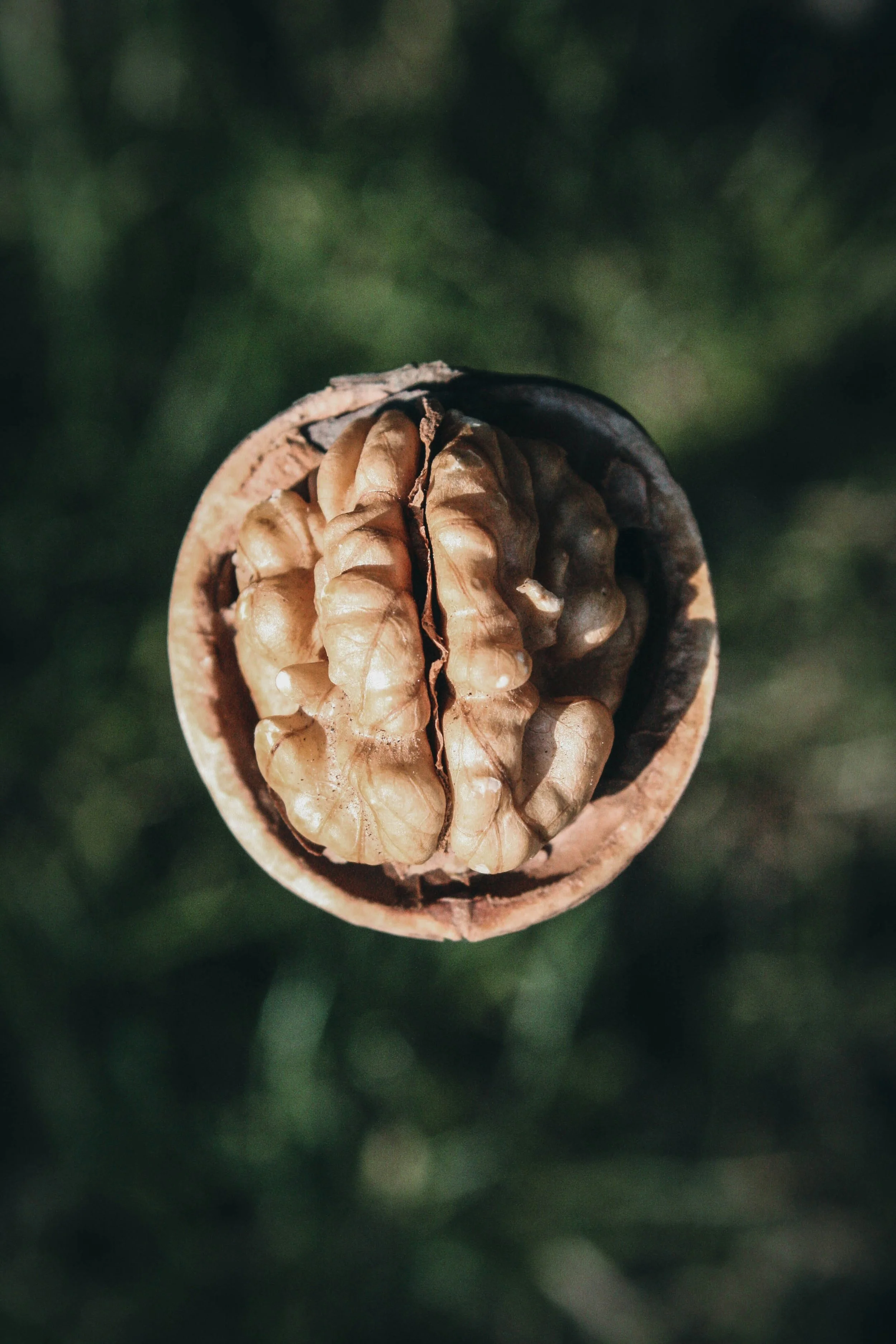 dave-avram-6AoSHiByprg-unsplash (1).jpg