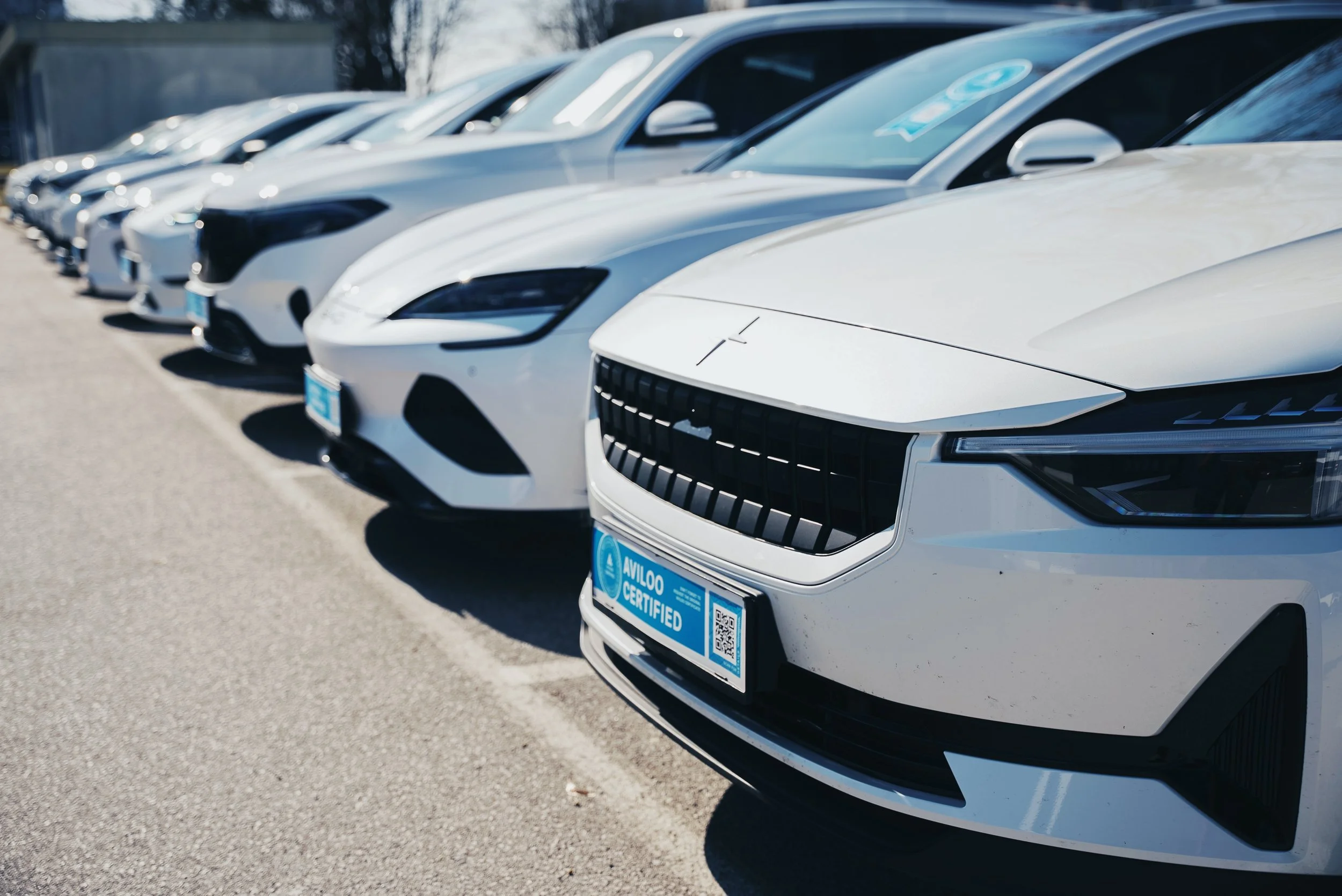 Line of white and silver cars parked outside, with blue dealership tags on the front of each car.