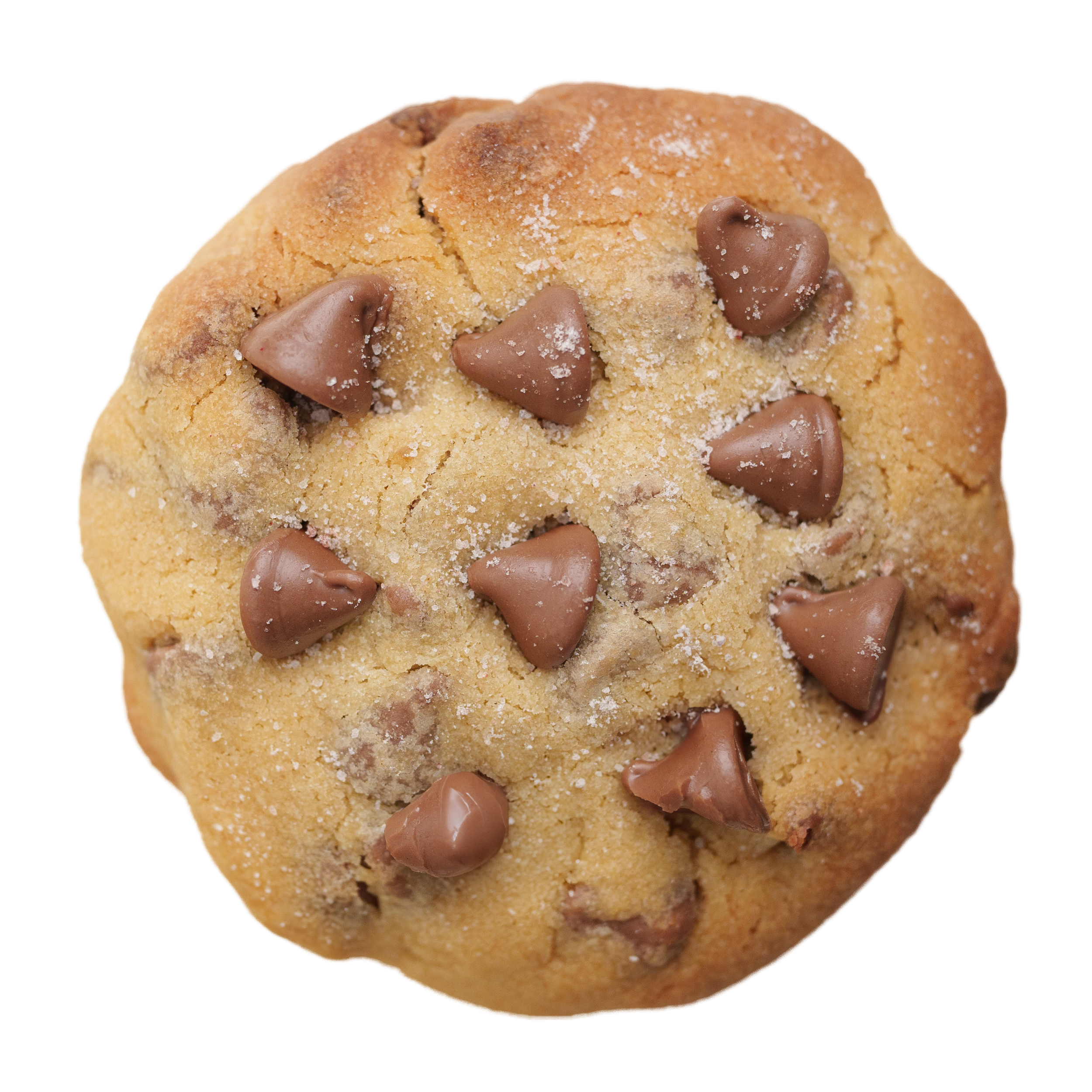 CHOC CHIP 1.png