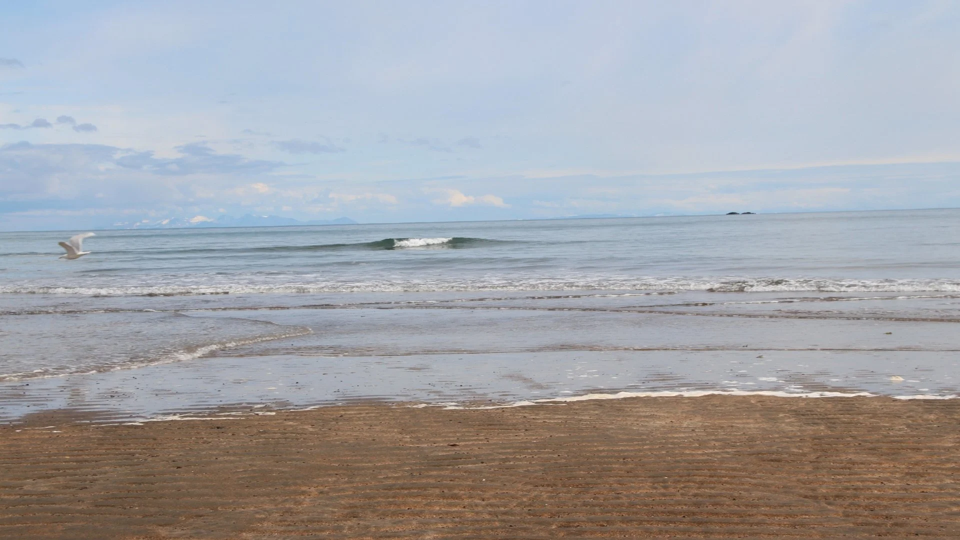 Hotel Budir _ Property and landscape 9.jpg