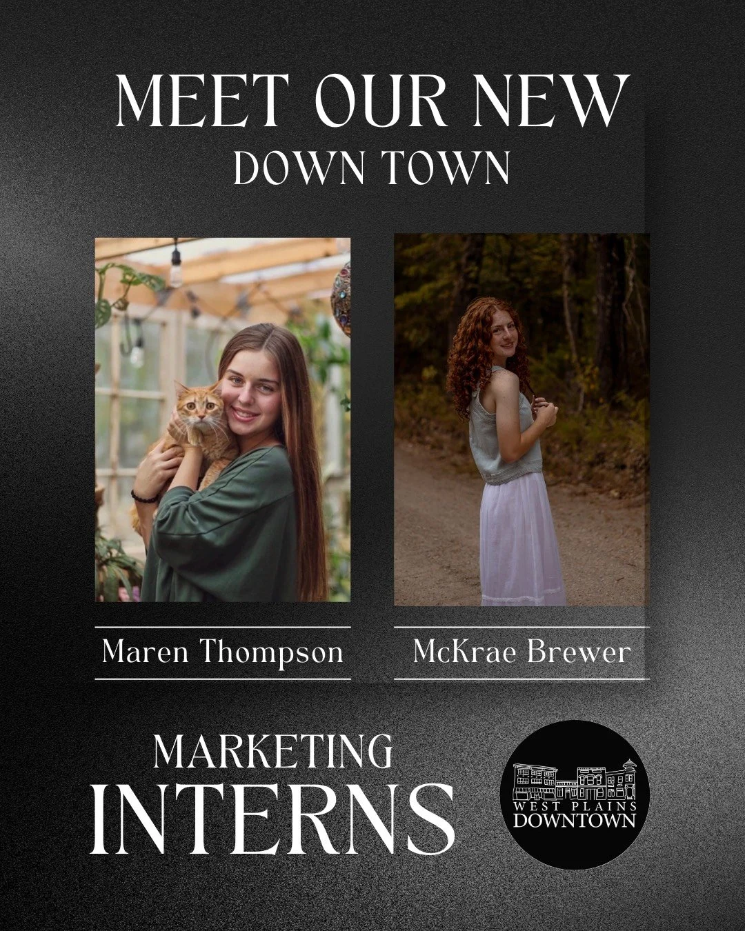 Meet Our Newest Additions!