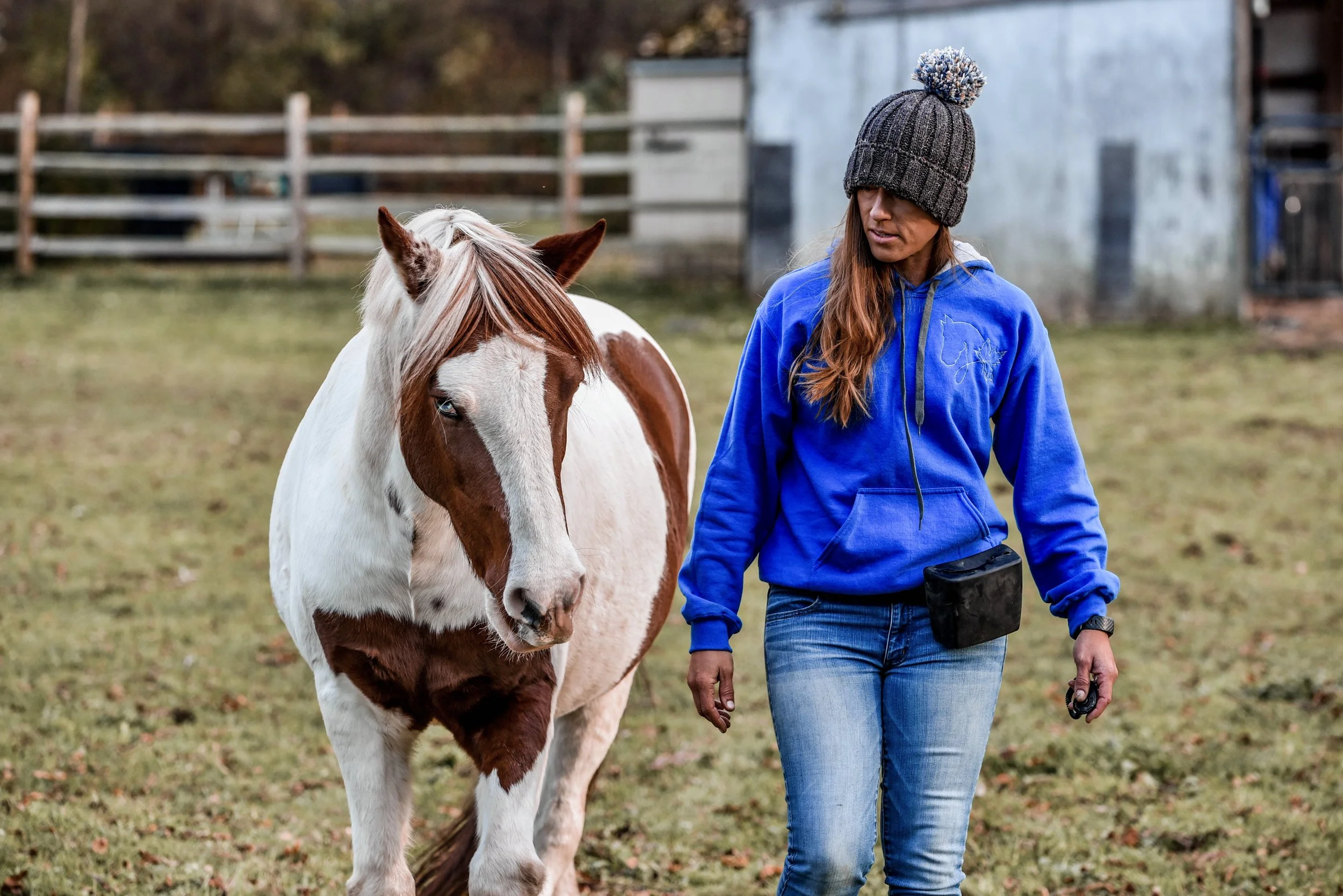 Rewarding Horses ABOUT — Reward Based Equestrian