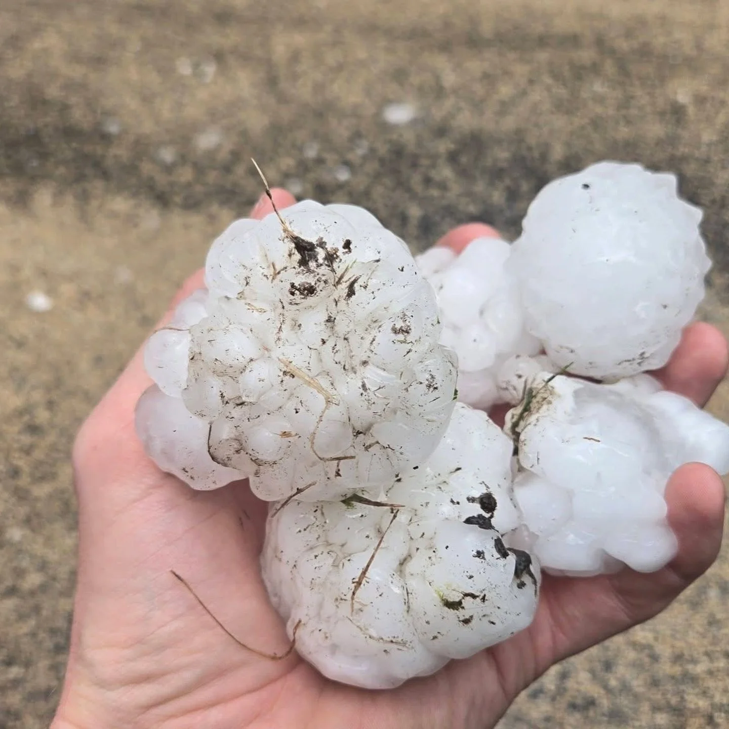 Looks like we&rsquo;ve got some serious weather headed our way across the Midwest tonight. Heavy winds and hail are in the forecast, so please hunker down, stay inside, and keep an eye on those weather alerts.

Once this storm rolls through, take a w