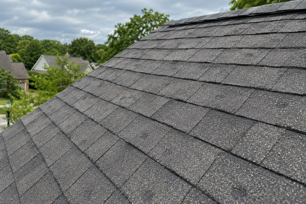How to Identify Roof Hail Damage, Granule Loss, and Shingle Bruising in St. Louis, Missouri