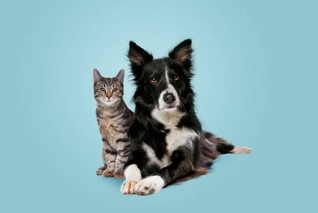 istock-1306543850-1-.jpeg