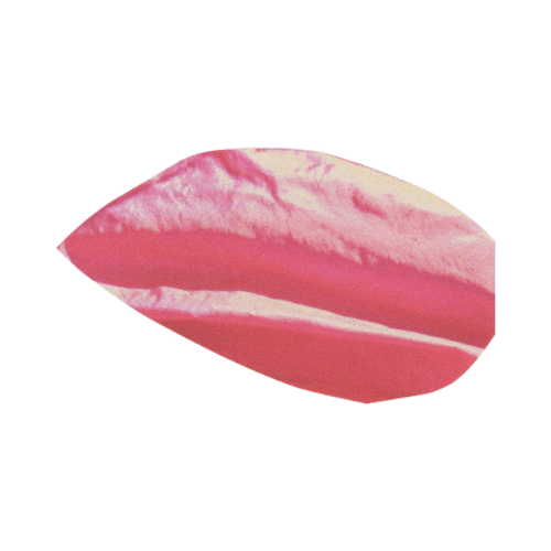 Bocca di rosa con labbra rosa e sfondo trasparente.