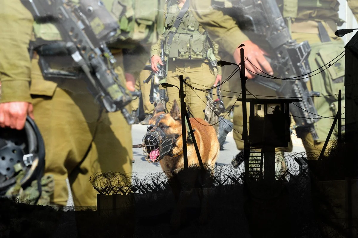 Palestinians Recount Sexual Abuse by Israeli Soldiers | Palestine Policy Roundup 5.19.26