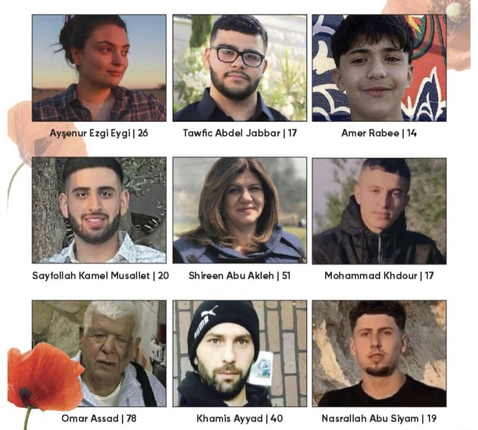New Poll: 84% Of Voters Support Van Hollen Resolution To Investigate Israel’s Killing Of US Citizens