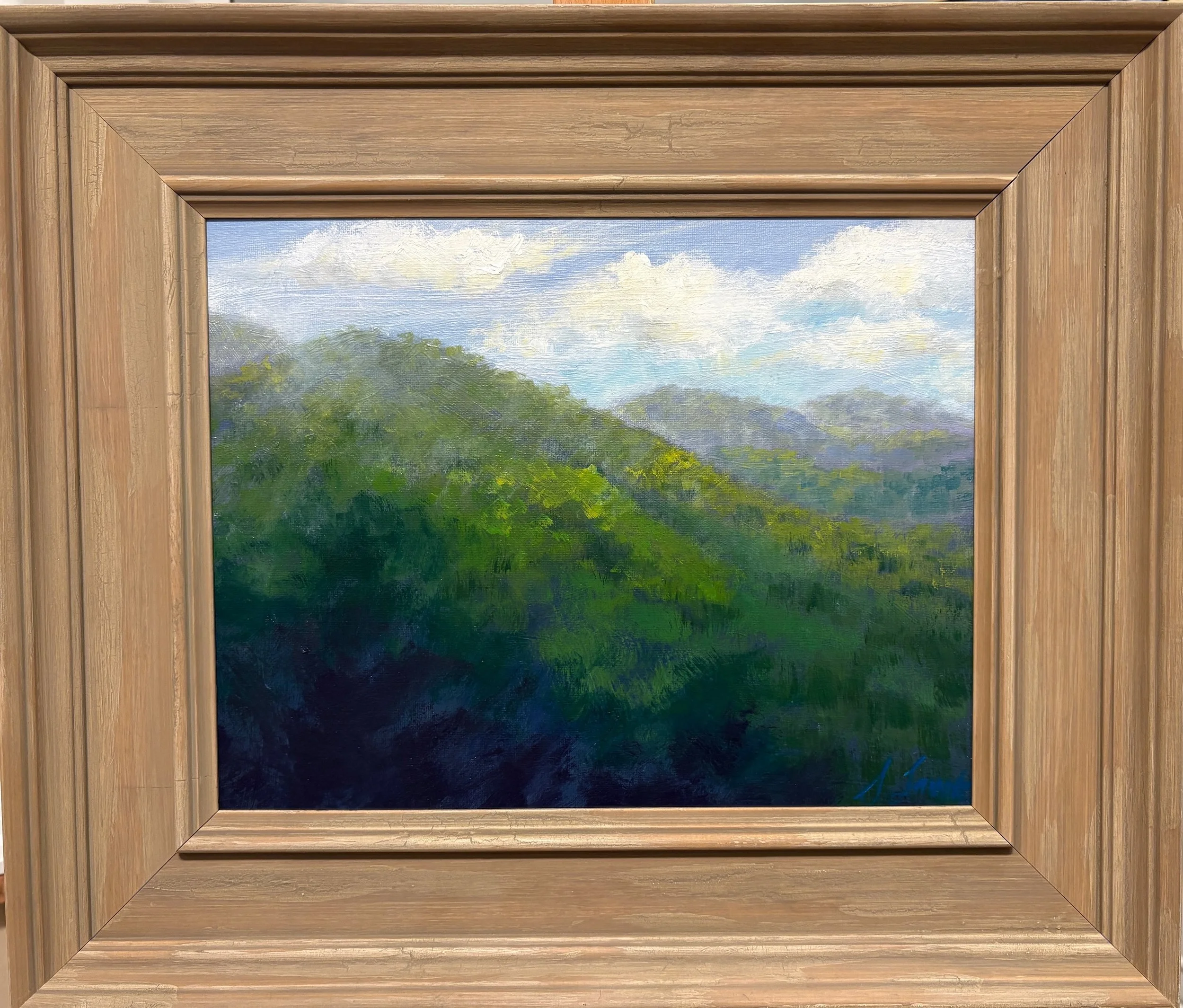Mountain Beauty - 14x11 - 450 .jpeg