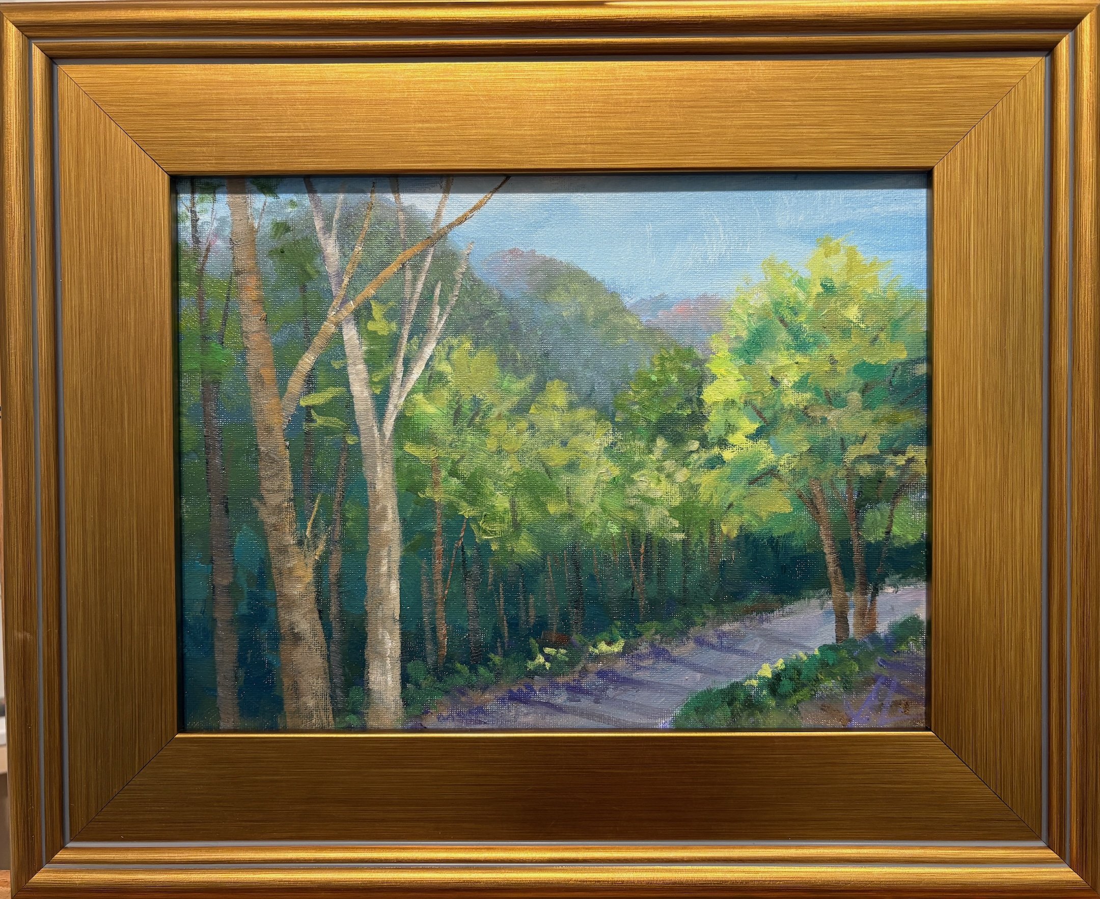 Shadows - 12x9 - 325 .jpeg