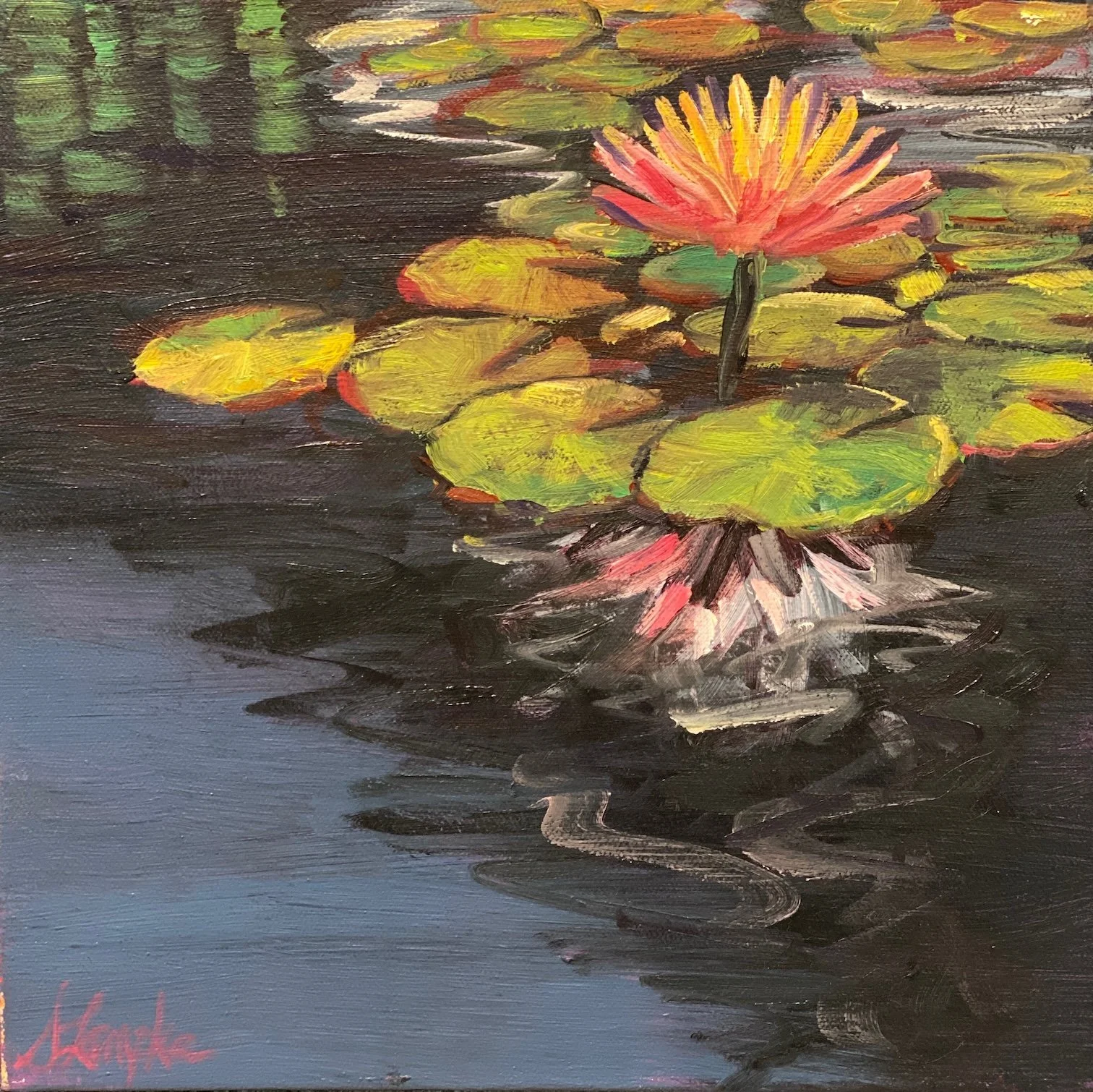 Water Lily 9right) - 12x12 - 300.jpeg