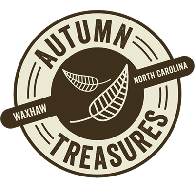 Autumn Treasures