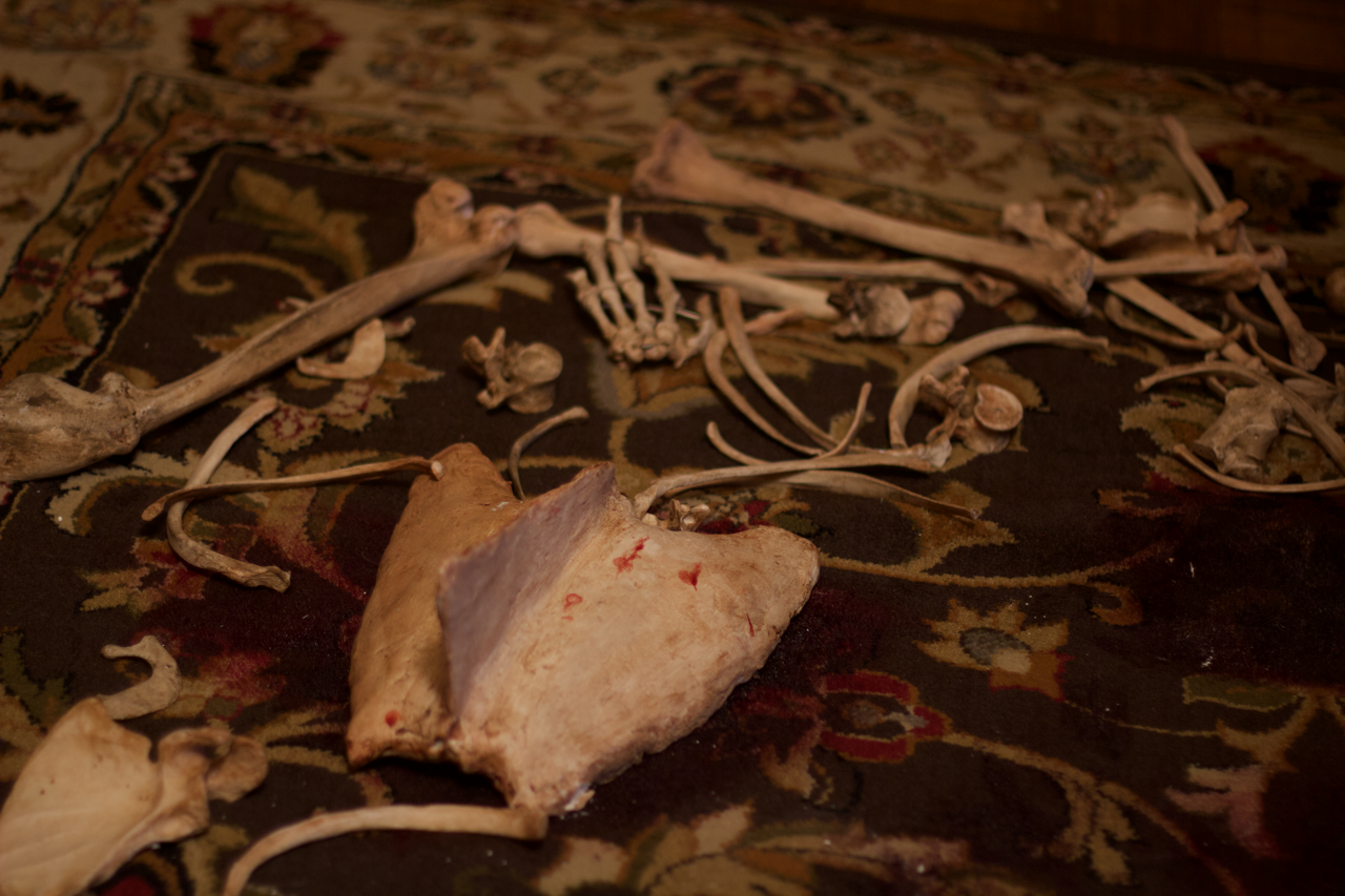 BEAKS BLOODY - PROPS MASTER