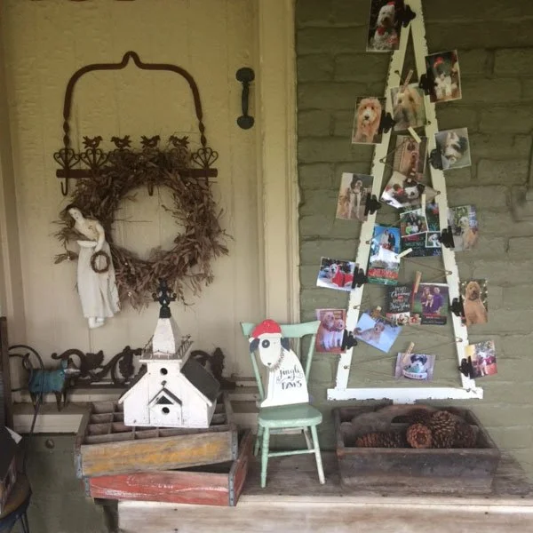 phototree1.jpg