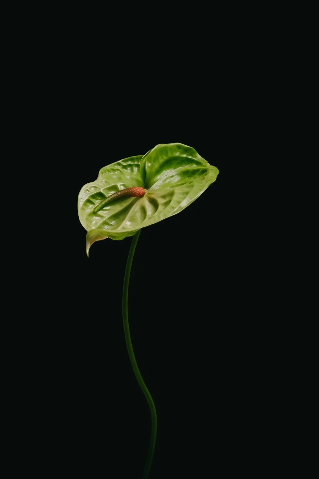 photo-1.jpg