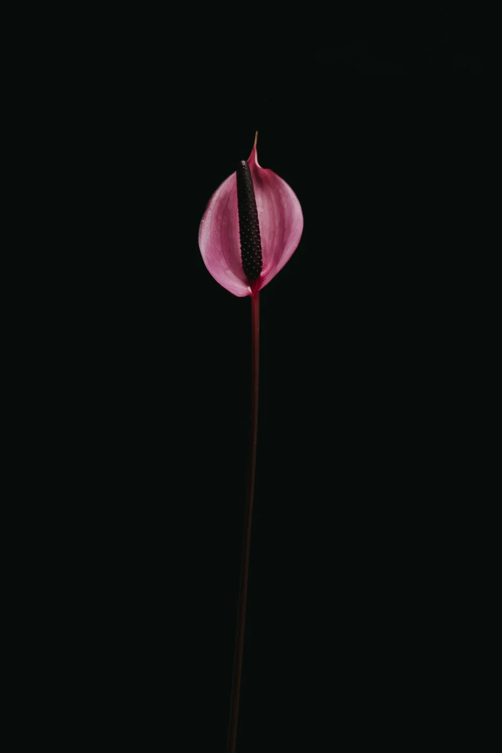 photo-2.jpg