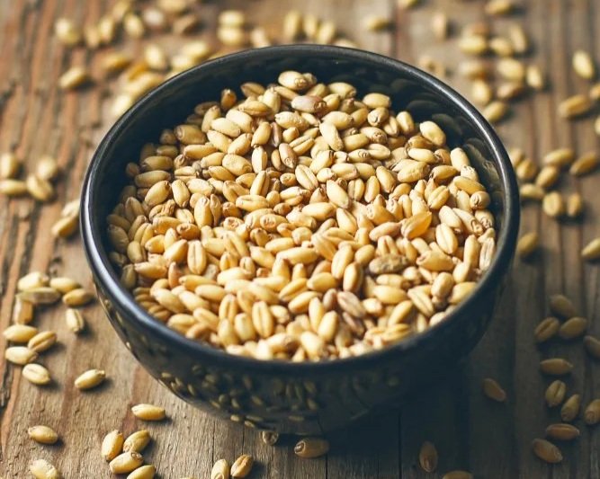 Farro: Ancient Grain, Modern Flavor