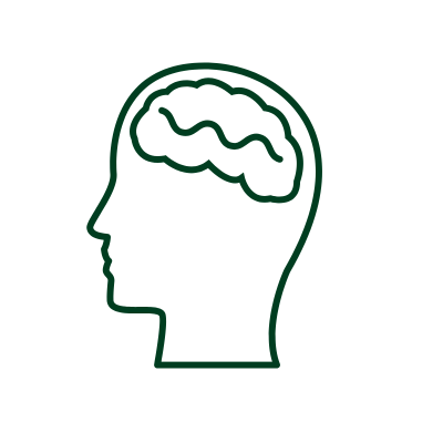 Supporting Your Brain in Everyday Life