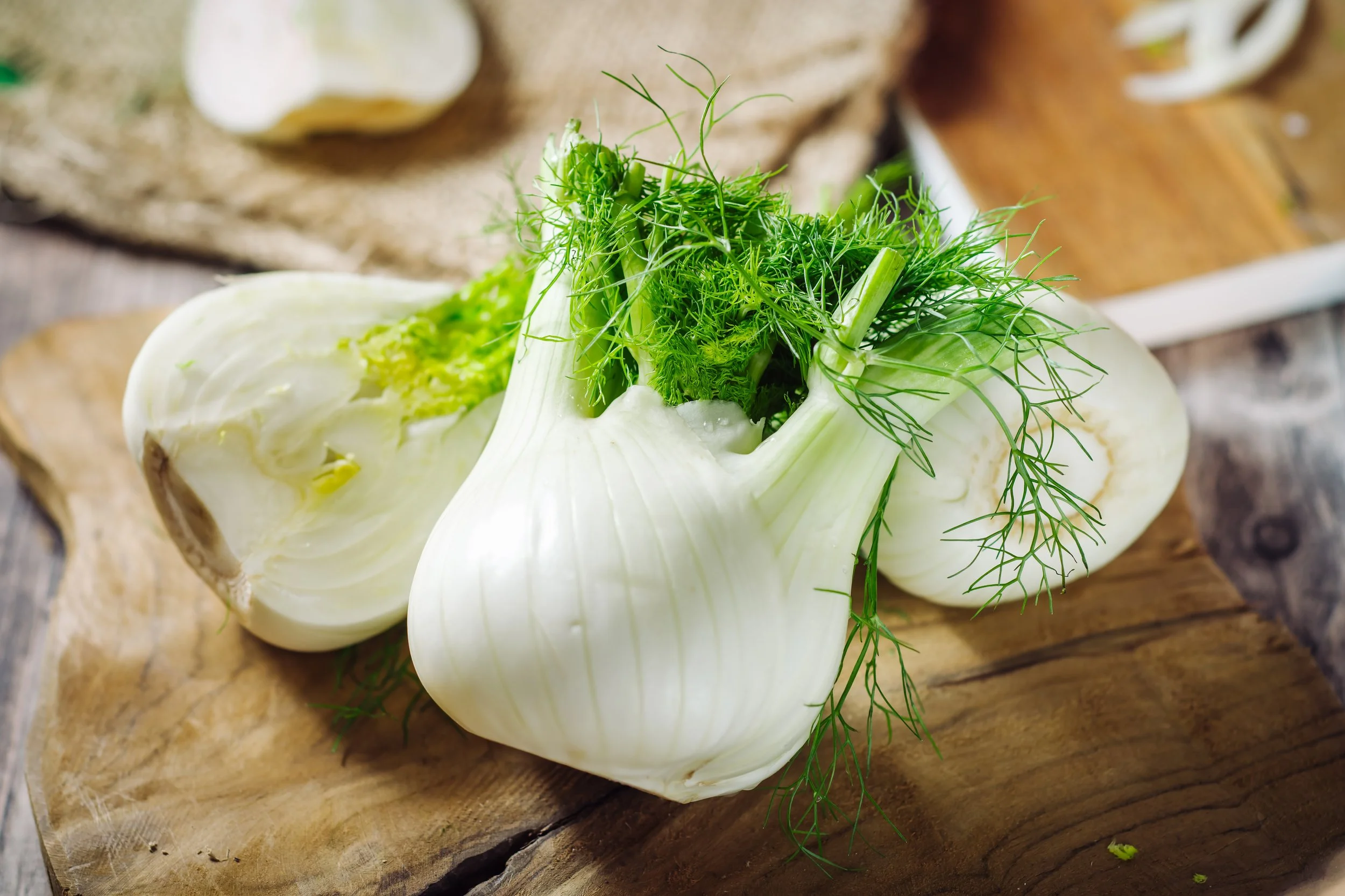 The Quiet Magic of Fennel
