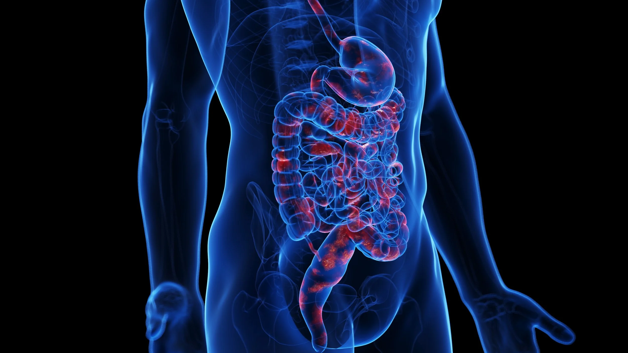 Beyond Probiotics Part 2: Inside the Gut - How Your Microbiome Shapes Your Health